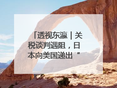 透视东瀛｜关税谈判遇阻，日本向美国递出“投名状”