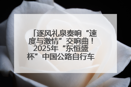 逐风礼泉奏响“速度与激情”交响曲！2025年“东恒盛杯”中国公路自行车联赛第五站（陕西·礼泉站）正式开赛