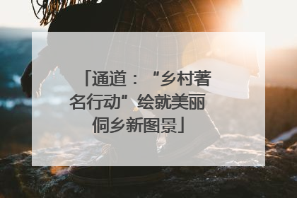 通道：“乡村著名行动”绘就美丽侗乡新图景