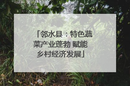 邻水县：特色蔬菜产业蓬勃 赋能乡村经济发展