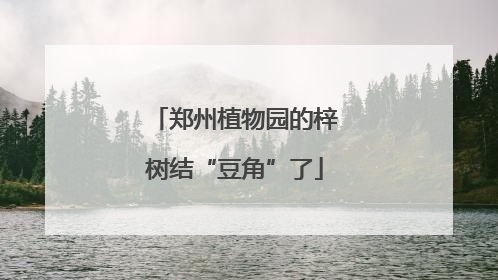 郑州植物园的梓树结“豆角”了