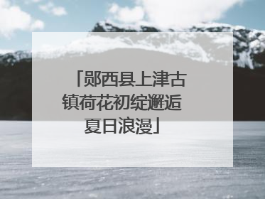 郧西县上津古镇荷花初绽邂逅夏日浪漫