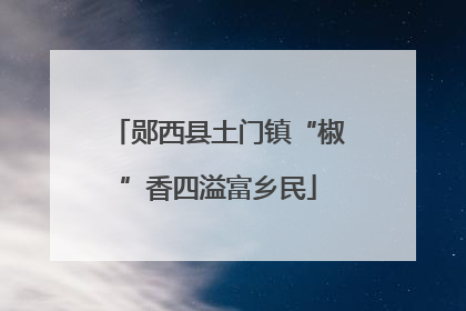 郧西县土门镇“椒”香四溢富乡民