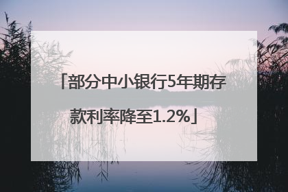 部分中小银行5年期存款利率降至1.2%