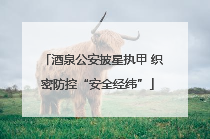 酒泉公安披星执甲 织密防控“安全经纬”