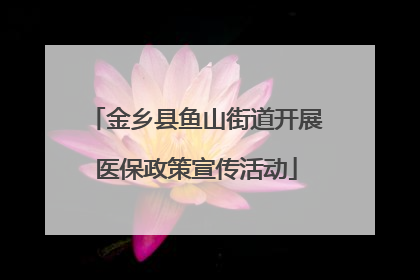 金乡县鱼山街道开展医保政策宣传活动