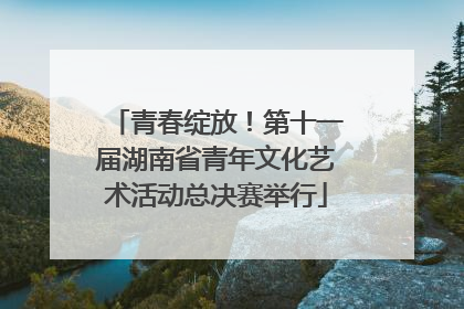 青春绽放！第十一届湖南省青年文化艺术活动总决赛举行