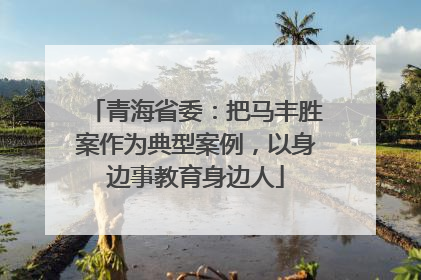 青海省委：把马丰胜案作为典型案例，以身边事教育身边人