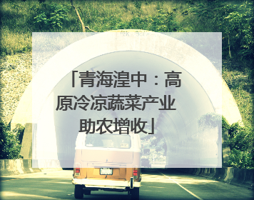 青海湟中：高原冷凉蔬菜产业助农增收
