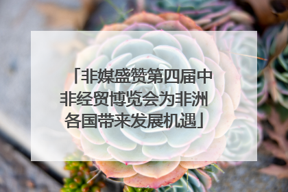 非媒盛赞第四届中非经贸博览会为非洲各国带来发展机遇