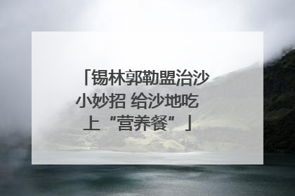 锡林郭勒盟治沙小妙招 给沙地吃上“营养餐”
