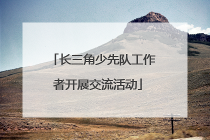 长三角少先队工作者开展交流活动
