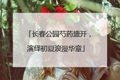 长春公园芍药盛开，演绎初夏浪漫华章