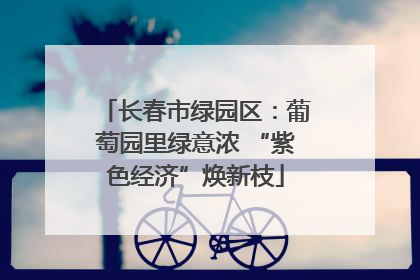 长春市绿园区：葡萄园里绿意浓 “紫色经济”焕新枝