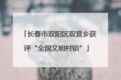长春市双阳区双营乡获评“全国文明村镇”