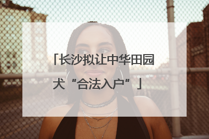 长沙拟让中华田园犬“合法入户”