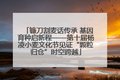 镰刀割麦话传承 基因育种启新程——第十届杨凌小麦文化节见证“颗粒归仓”时空跨越