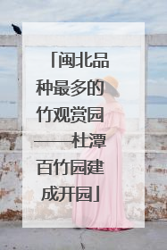 闽北品种最多的竹观赏园——杜潭百竹园建成开园