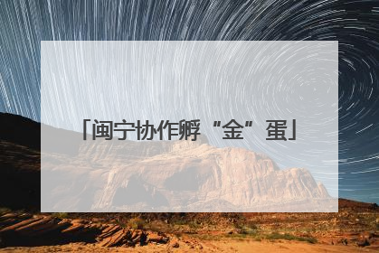 闽宁协作孵“金”蛋