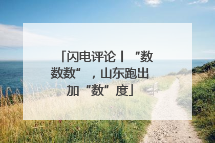 闪电评论丨“数数数”，山东跑出加“数”度