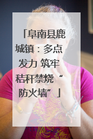 阜南县鹿城镇：多点发力 筑牢秸秆禁烧“防火墙”