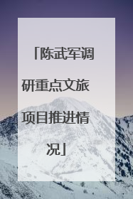 陈武军调研重点文旅项目推进情况