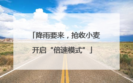 降雨要来，抢收小麦开启“倍速模式”