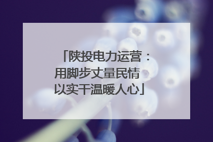 陕投电力运营：用脚步丈量民情 以实干温暖人心