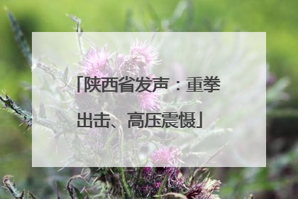 陕西省发声：重拳出击、高压震慑