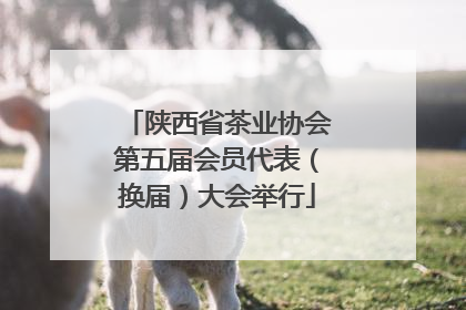 陕西省茶业协会第五届会员代表（换届）大会举行