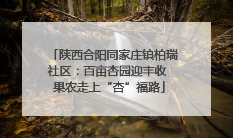 陕西合阳同家庄镇柏瑞社区：百亩杏园迎丰收 果农走上“杏”福路