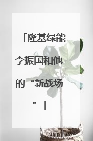 隆基绿能李振国和他的“新战场”