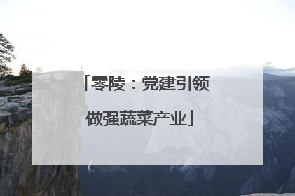 零陵：党建引领 做强蔬菜产业