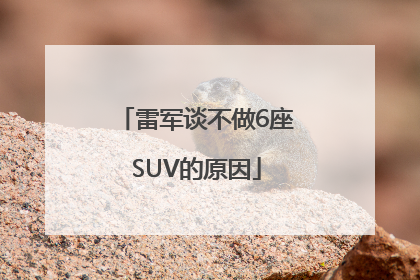 雷军谈不做6座SUV的原因