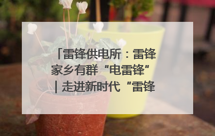 雷锋供电所：雷锋家乡有群“电雷锋”｜走进新时代“雷锋传人 长沙榜样”
