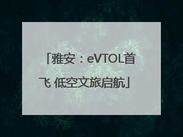 雅安：eVTOL首飞 低空文旅启航