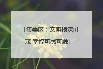 集美区：文明根深叶茂 幸福可感可触
