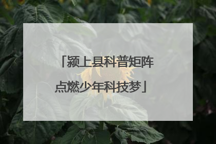 颍上县科普矩阵点燃少年科技梦