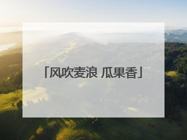 风吹麦浪 瓜果香