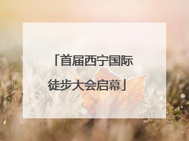 首届西宁国际徒步大会启幕