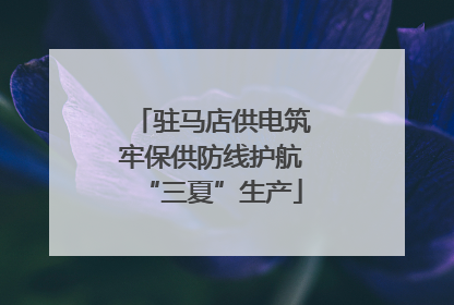 驻马店供电筑牢保供防线护航“三夏”生产