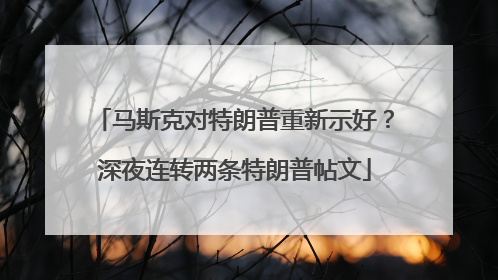 马斯克对特朗普重新示好？深夜连转两条特朗普帖文