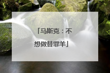 马斯克：不想做替罪羊