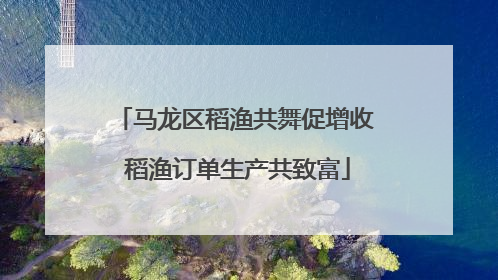 马龙区稻渔共舞促增收 稻渔订单生产共致富