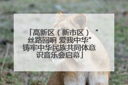 高新区（新市区）“丝路回响 爱我中华”铸牢中华民族共同体意识音乐会启幕