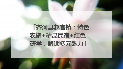 齐河县赵官镇：特色农旅+精品民宿+红色研学，解锁多元魅力