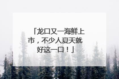 龙口又一海鲜上市，不少人夏天就好这一口！