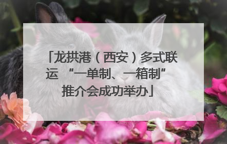 龙拱港（西安）多式联运 “一单制、一箱制” 推介会成功举办
