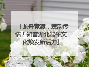 龙舟竞渡，楚韵传情！知音湖北端午文化焕发新活力