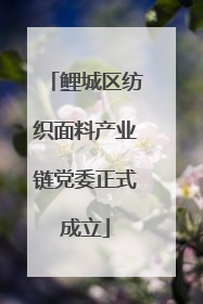 鲤城区纺织面料产业链党委正式成立